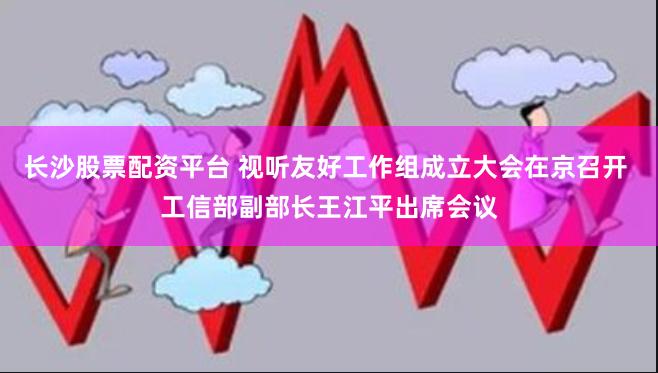 长沙股票配资平台 视听友好工作组成立大会在京召开 工信部副部长王江平出席会议