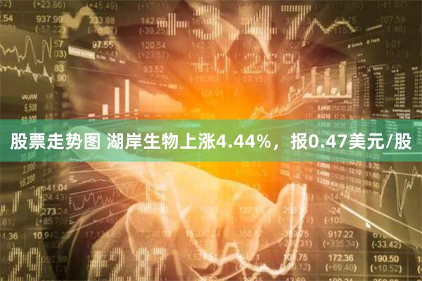 股票走势图 湖岸生物上涨4.44%，报0.47美元/股