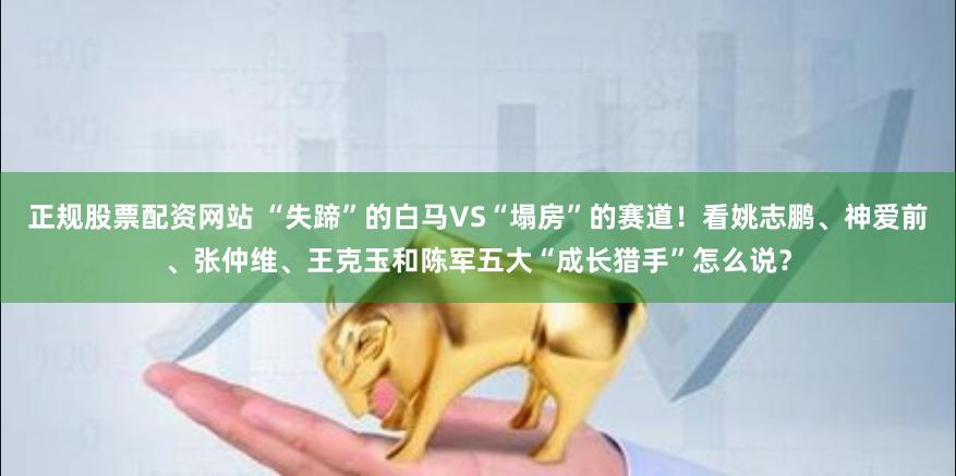 正规股票配资网站 “失蹄”的白马VS“塌房”的赛道!看姚志鹏、神爱前、张仲维、王克玉和陈军五大“成长猎手”怎么说?