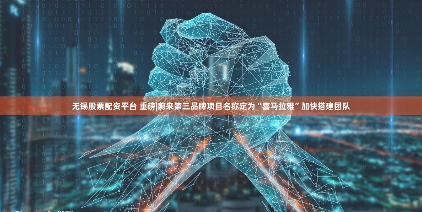 无锡股票配资平台 重磅|蔚来第三品牌项目名称定为“喜马拉雅”加快搭建团队