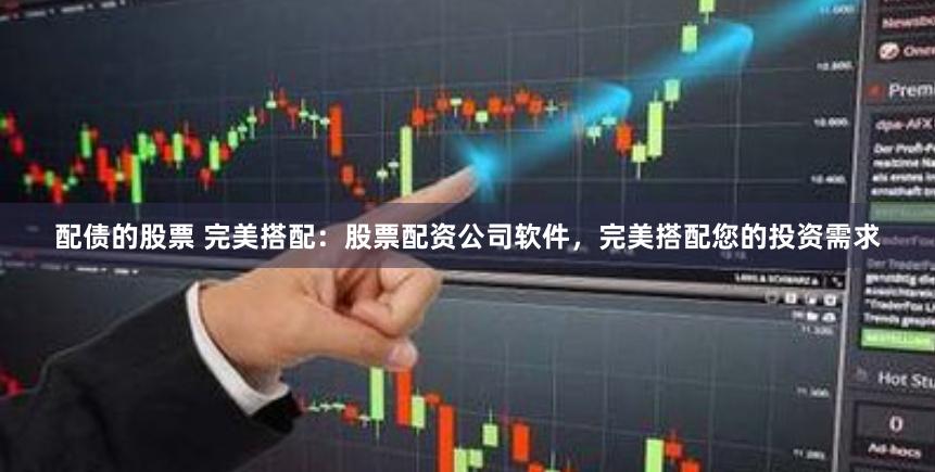 配债的股票 完美搭配:股票配资公司软件,完美搭配您的投资需求