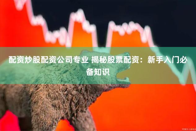 配资炒股配资公司专业 揭秘股票配资:新手入门必备知识