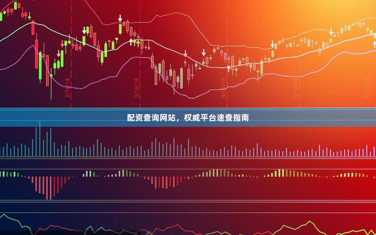 配资查询网站，权威平台速查指南